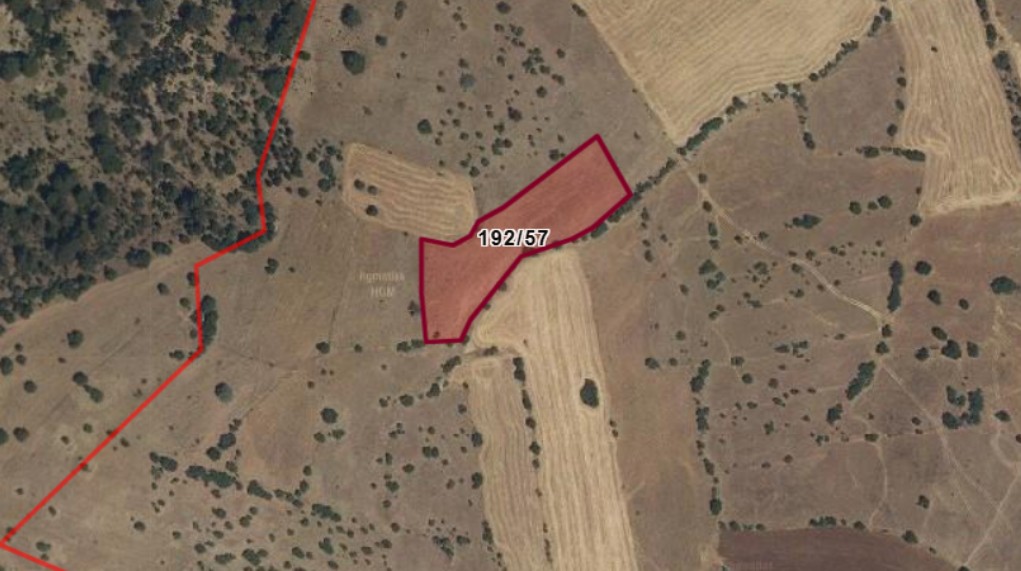 KONYA ILGIN BELEKLER KÖYÜNDE 5.554 M² TARLAMIZ SATILIKTIR. - KONYA ILGIN fotoğraf 3